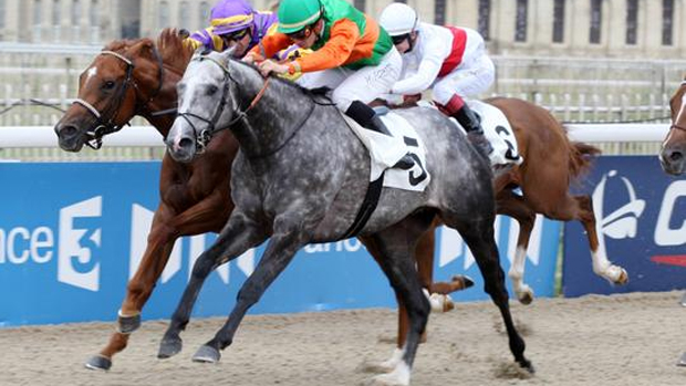 AbuSidra-BlushingGroom-120712