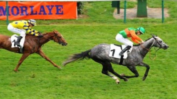 AbuSidra-Chantilly-110512