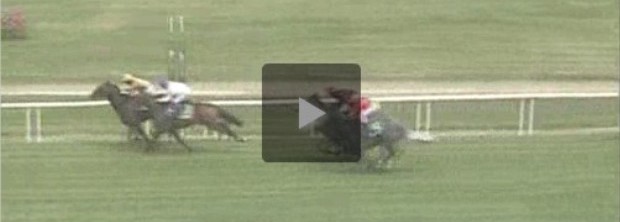 Campillo-Tarbes-080512