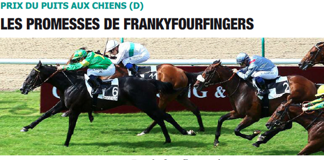 Frankyfourfingers chantilly