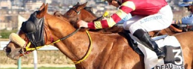 Funny World 6-1-12 Deauville