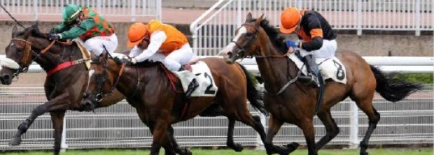 Haim-2ePrixGdeRochefort-260612