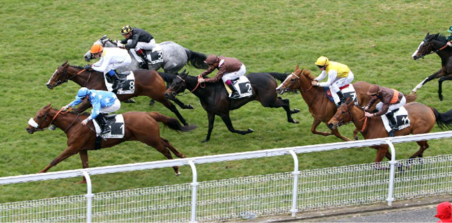 Holy Dazzle Prix Imprudence