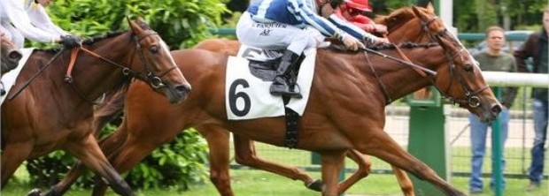 HolyDazzle-3ePrixReineBlanche-Chantilly130612