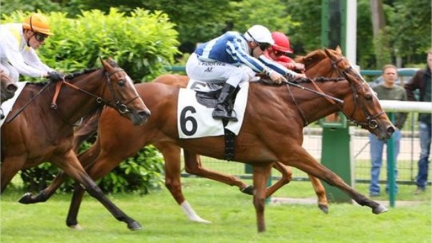 HolyDazzle-3ePrixReineBlanche-Chantilly130612