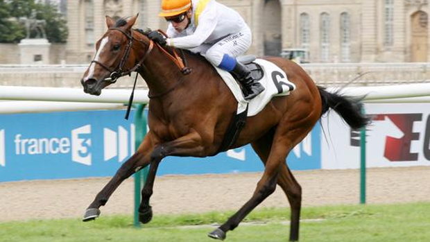 HolyDazzle-Aulnette-120712-