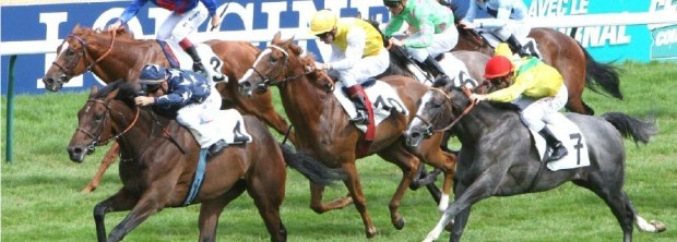 JDG_20120822.Morandipic