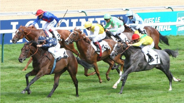 JDG_20120822.Morandipic