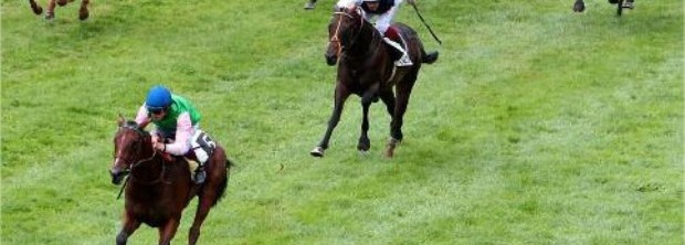 JDG_20120904_Alterite