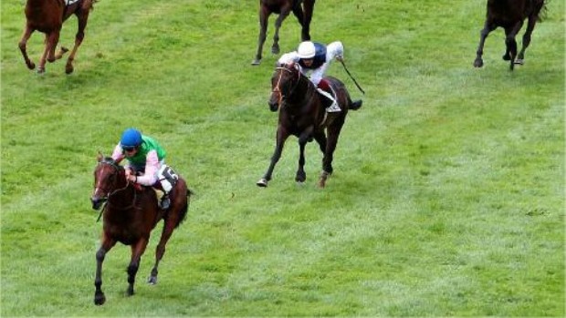 JDG_20120904_Alterite