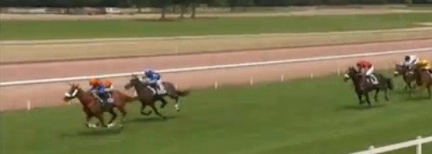 Litanibreak Junior 0713