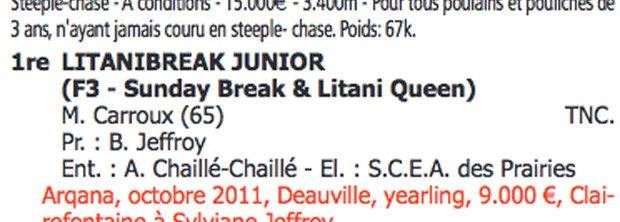 Litaniebreak junior 180813r