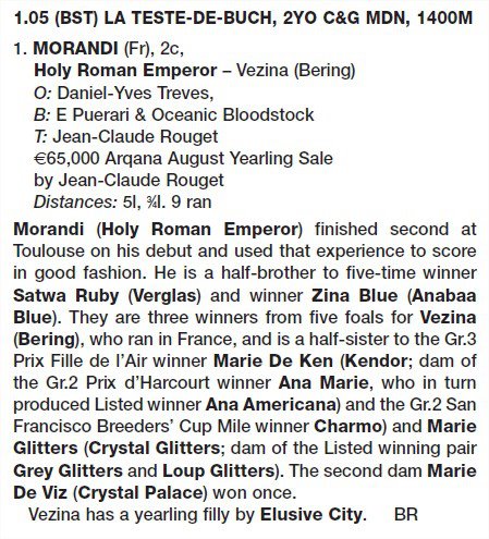 Morandi (Vezina) EBN200712