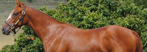 N12 Sunday Break x Hexane @Osarus featured