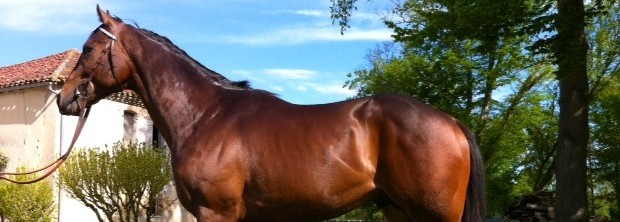 Treblig One - 030512wide