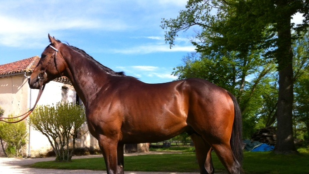 Treblig One - 030512wide